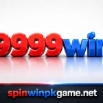 9999win