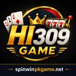 HI309 Game
