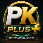 PKPLUS Game