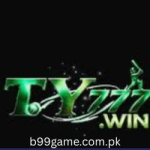 ty777 game