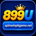 899U Game