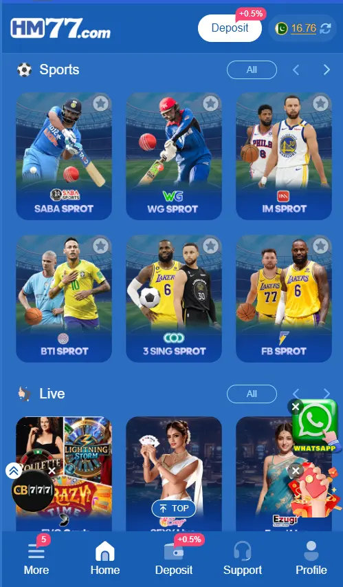 HM77 Game