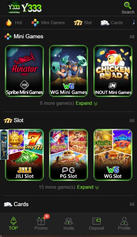 Y333 Game