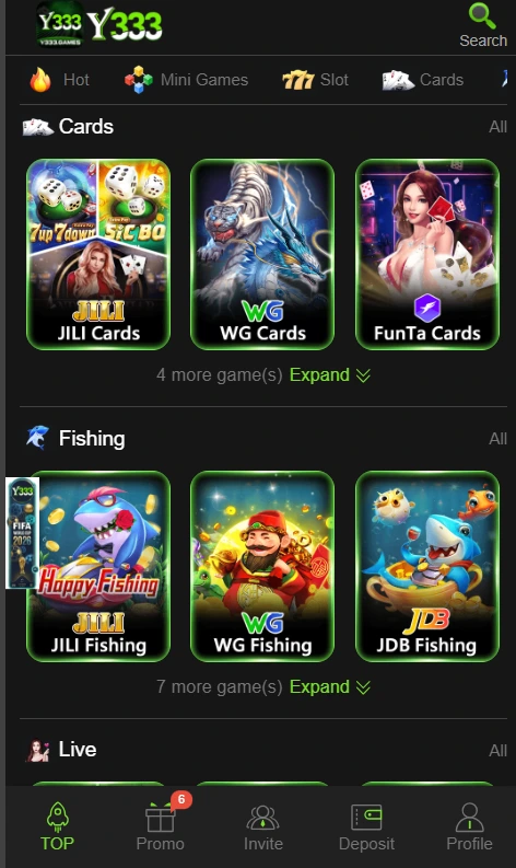 Y333 Game